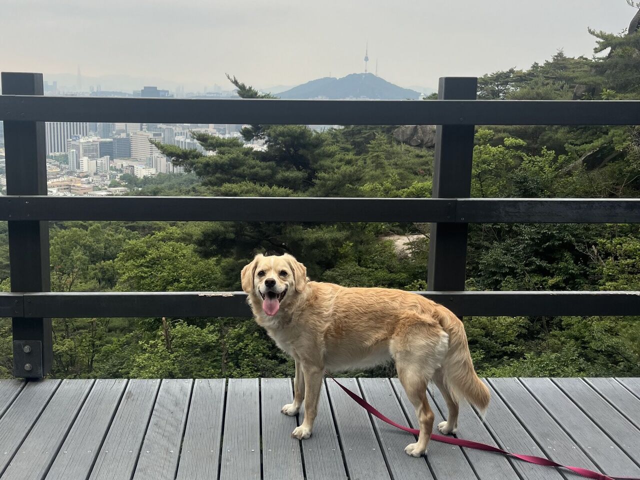 흐린 날이지만 더운 레아