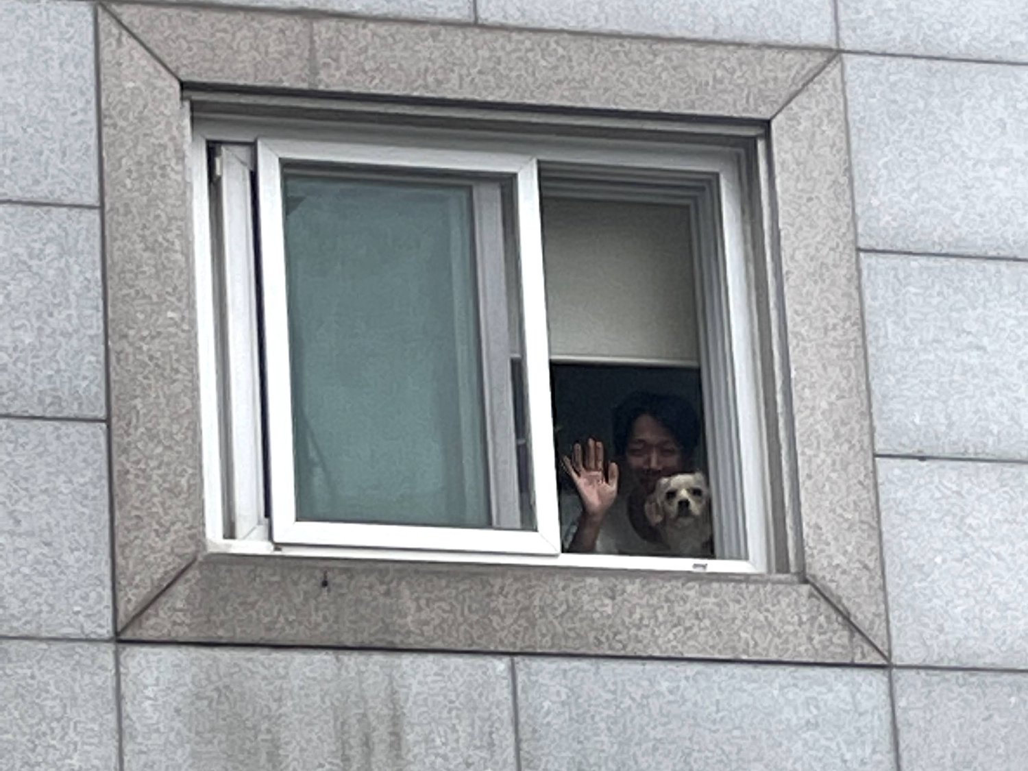 근엄한 레아와 해맑은 나